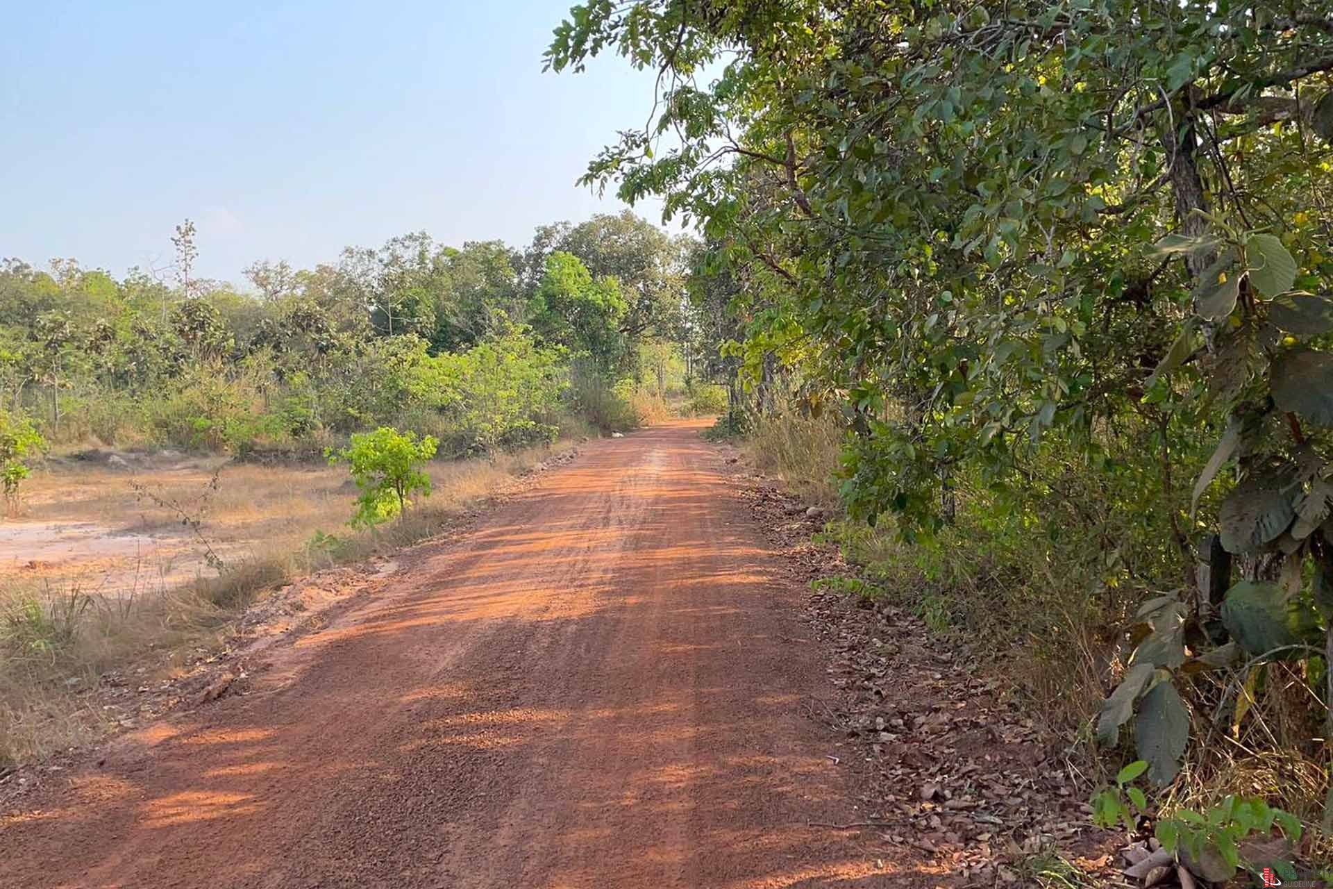 ขายที่ดินอุบลฯ อ.พิบูลมังสาหาร โคตรถูก เพียง 800,000 บาท 5 ไร่  