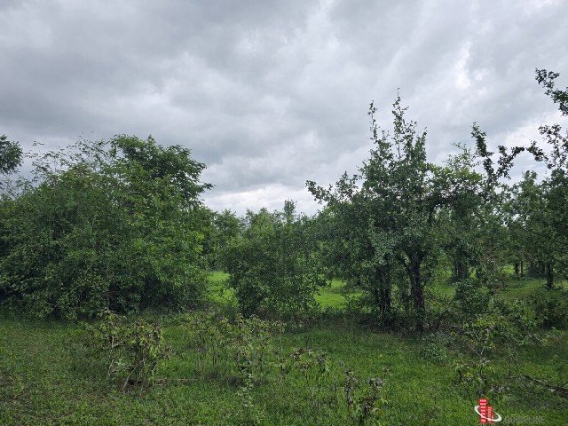 ขายที่ดิน ประจวบ พื้นที่ 5 ไร่ ต.อ่าวน้อย