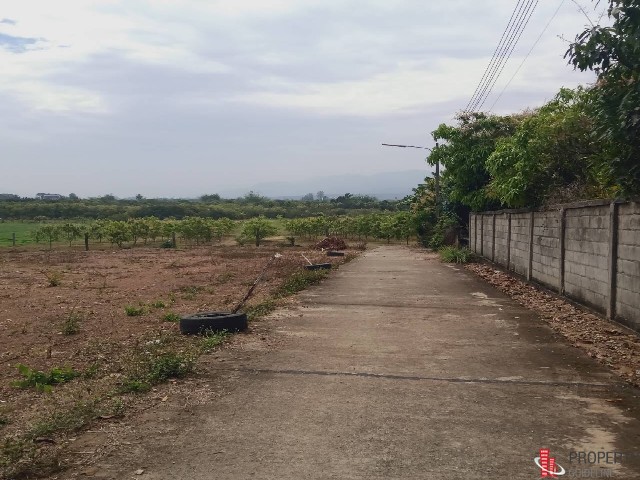 ขายที่ดิน สวนมะม่วง ลำพูน เนื้อที่ 16-0-34 ไร่ ลำพูน