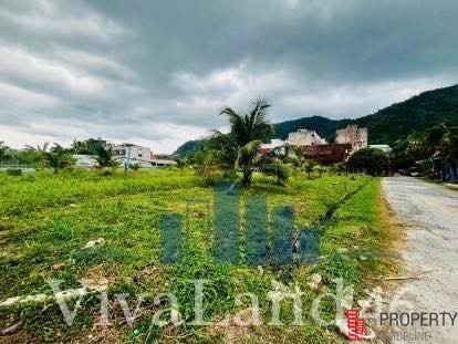 ที่ดินผืนใหญ่ ใจกลางป่าตอง LOCATION ที่ “ตลาดวิ่งเข้าหา”